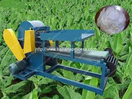 Banana Fibre Extractor